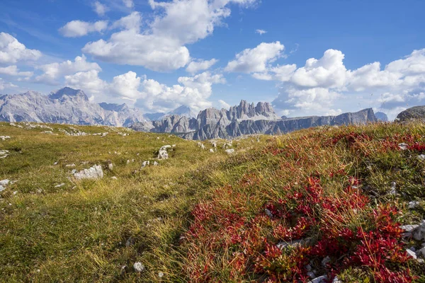 Wielkie Szczyty Łąki Rejonie Cinque Torri Dolomity — Zdjęcie stockowe