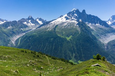 Mont Blanc kalabalığındaki Aiguille Verte manzarası. Alpler.