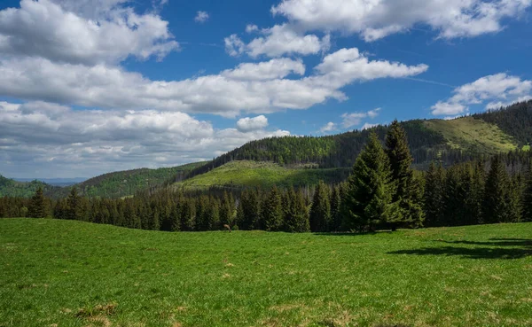 Great Landscape Kalatowki Glade Western Tatras — Stockfoto
