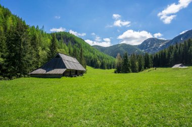 Jaworzynka Vadisi 'ndeki eski kulübeler. Tatra Dağları.
