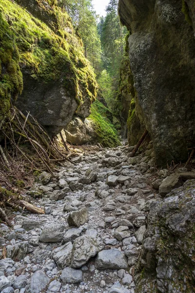 Desfiladero Cracovia Desfiladero Rocas Más Hermoso Las Montañas Polacas Del — Foto de Stock