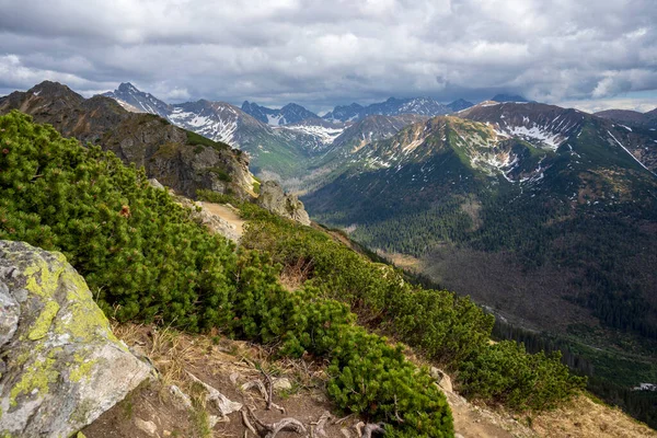 Kasprowy Tepesine Doğru Giden Kırmızı Tepe Yolu Tatra Dağları — Stok fotoğraf