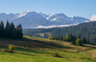 Tatra Dağlarının Panoraması Bukowina Tatrzanska 'nın bakış açısından.