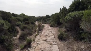 First person view walking and exploring ruined ancient pathway in an adventurous exploration among  Mediterranean scrub and saplings