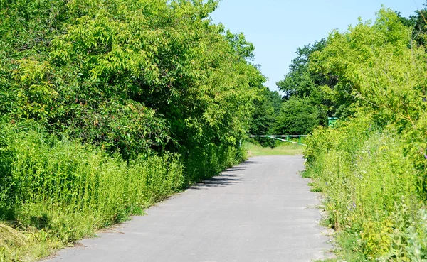 Schöne Leere Asphaltstraße Der Landschaft Auf Farbigem Hintergrund Fotografie Bestehend — Stockfoto