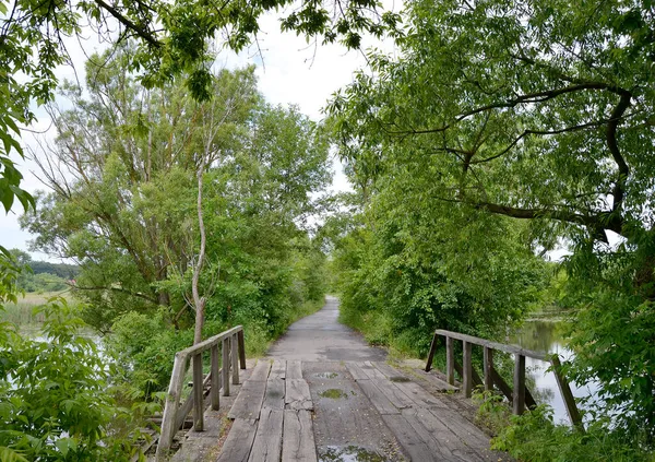 Όμορφα Στέκεται Παλιά Ξύλινη Γέφυρα Πάνω Από Ποτάμι Έγχρωμο Φόντο — Φωτογραφία Αρχείου