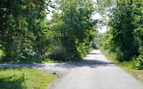 Schöne Leere Asphaltstraße Der Landschaft Auf Farbigem Hintergrund Fotografie Bestehend — Stockfoto