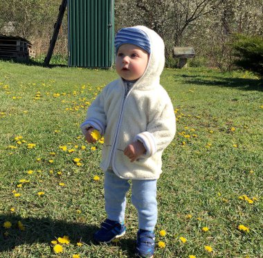 Renkli fotoğraf için poz veren çocuk yüzlü güzel bir oğlan. Cadre, çocuk görünümlü bir erkek bebekten, beyaz bir yüz ifadesinden oluşuyor. Sağlıklı erkek bebek, çocuk yüzü. İyi bir atış için rahatlıyor..