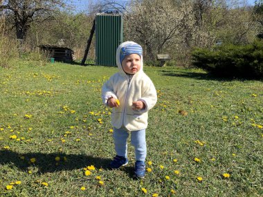 Renkli fotoğraf için poz veren çocuk yüzlü güzel bir oğlan. Cadre, çocuk görünümlü bir erkek bebekten, beyaz bir yüz ifadesinden oluşuyor. Sağlıklı erkek bebek, çocuk yüzü. İyi bir atış için rahatlıyor..