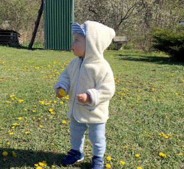 Renkli fotoğraf için poz veren çocuk yüzlü güzel bir oğlan. Cadre, çocuk görünümlü bir erkek bebekten, beyaz bir yüz ifadesinden oluşuyor. Sağlıklı erkek bebek, çocuk yüzü. İyi bir atış için rahatlıyor..