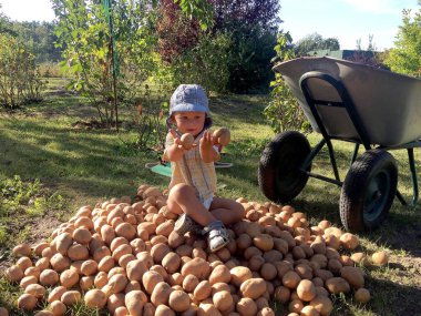Renkli fotoğraf için poz veren çocuk yüzlü güzel bir oğlan. Cadre, çocuk görünümlü bir erkek bebekten, beyaz bir yüz ifadesinden oluşuyor. Sağlıklı erkek bebek, çocuk yüzü. İyi bir atış için rahatlıyor..