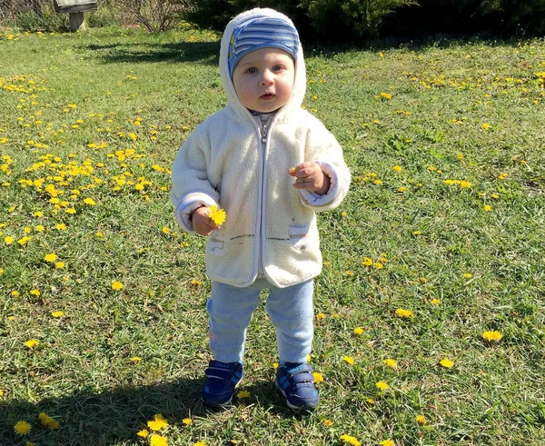 Hermoso Niño Con Cara Niño Posando Fotógrafo Para Foto Color —  Fotos de Stock