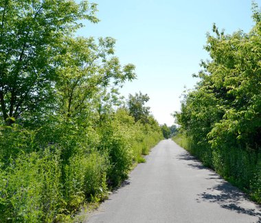 Renkli arka planda, kırsal alanda güzel boş asfalt yol. Fotoğrafçılık, kırsal kesimden geçen yeni boş asfalt yolu içeriyor. Yeşillik kırsalında hız aracı için boş asfalt yol
