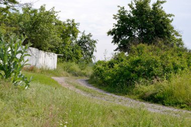 Renkli arka planda, kırsal alanda güzel boş asfalt yol. Fotoğrafçılık, kırsal kesimden geçen yeni boş asfalt yolu içeriyor. Yeşillik kırsalında hız aracı için boş asfalt yol