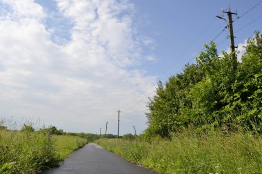 Renkli arka planda, kırsal alanda güzel boş asfalt yol. Fotoğrafçılık, kırsal kesimden geçen yeni boş asfalt yolu içeriyor. Yeşillik kırsalında hız aracı için boş asfalt yol