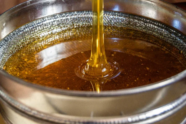 Altın nektarla dolu altıgen bal peteklerinden arı damlayan bal damlası, bal peteği yaz kompozisyonu doğal bal damlası, balmumu çerçeve arısına damlayan bal damlası, bal peteğine damlayan bal damlası