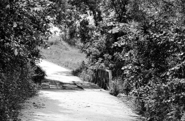 Renkli arka planda nehrin üzerinde güzel bir şekilde duran ahşap köprü. Nehrin yukarısındaki eski ahşap köprü. Doğal park için nehirde eski ahşap köprü.