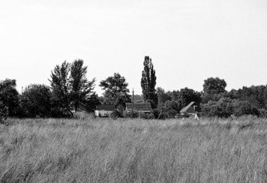 Renkli doğal arka plan üzerine köy çayırında güzel bir ufuk manzarası, uzun çayırdaki çayır köyünde ufuk manzarası, hayvan için köy otlağındaki ufuk doğa manzarası.