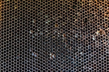 Arı kovanının soyut altıgen yapısı altın bal kovanından bal peteği, bal peteği yaz kompozisyonu arı köyünden vıcık vıcık bal, bal kırsalından kırsal arılara bal peteği