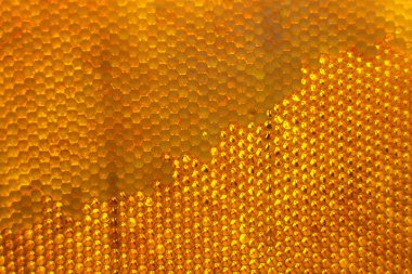 Altın nektarla dolu altıgen bal peteklerinden arı damlayan bal damlası, bal peteği yaz kompozisyonu doğal bal damlası, balmumu çerçeve arısına damlayan bal damlası, bal peteğine damlayan bal damlası