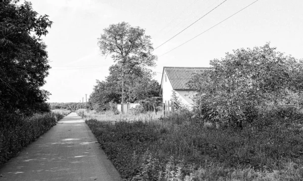 自然の背景に田舎の美しい古い放棄された建物の農場の家 野生の草で古い放棄された建物の農場の家からなる写真 空の上の古い放棄された建物の農場の家 — ストック写真