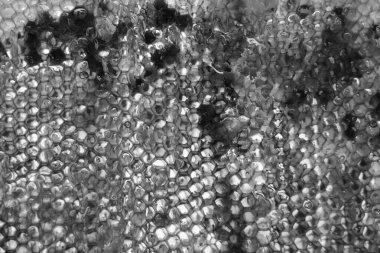 Altın nektarla dolu altıgen bal peteklerinden arı damlayan bal damlası, bal peteği yaz kompozisyonu doğal bal damlası, balmumu çerçeve arısına damlayan bal damlası, bal peteğine damlayan bal damlası