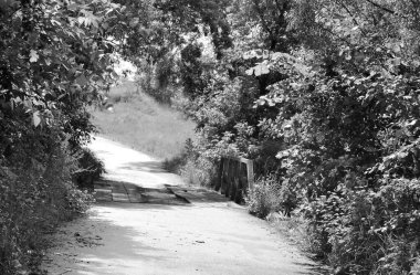 Renkli arka planda nehrin üzerinde güzel bir şekilde duran ahşap köprü. Nehrin yukarısındaki eski ahşap köprü. Doğal park için nehirde eski ahşap köprü.