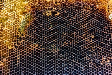 Arı kovanının soyut altıgen yapısı altın bal kovanından bal peteği, bal peteği yaz kompozisyonu arı köyünden vıcık vıcık bal, bal kırsalından kırsal arılara bal peteği