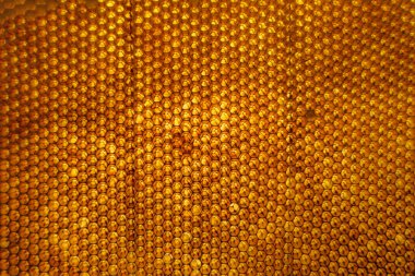 Altın nektarla dolu altıgen bal peteklerinden arı damlayan bal damlası, bal peteği yaz kompozisyonu doğal bal damlası, balmumu çerçeve arısına damlayan bal damlası, bal peteğine damlayan bal damlası