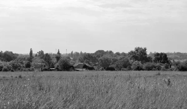 Beautiful Horizon Scenery Village Meadow Color Natural Background Photography Consisting — Zdjęcie stockowe