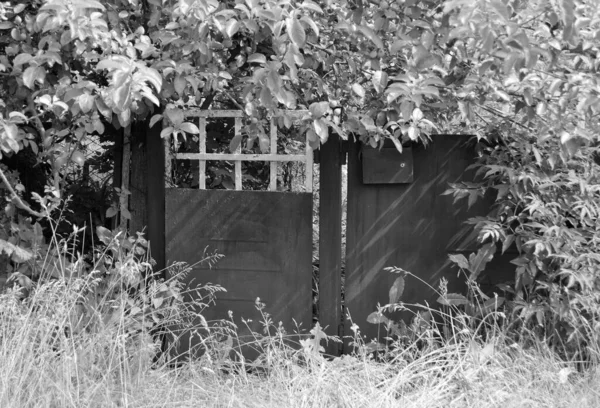Beautiful Old Gate Abandoned House Village Natural Background Photography Consisting — Stock Photo, Image
