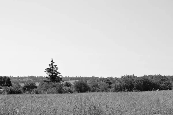 Beau Paysage Horizon Dans Prairie Village Sur Fond Naturel Couleur — Photo