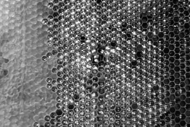 Altın nektarla dolu altıgen bal peteklerinden arı damlayan bal damlası, bal peteği yaz kompozisyonu doğal bal damlası, balmumu çerçeve arısına damlayan bal damlası, bal peteğine damlayan bal damlası