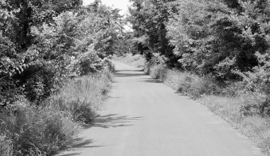 Renkli arka planda güzel boş asfalt yol, kırsal alandan geçen yeni boş asfalt yol, yeşillik kırsalında hız arabası için boş asfalt yol.