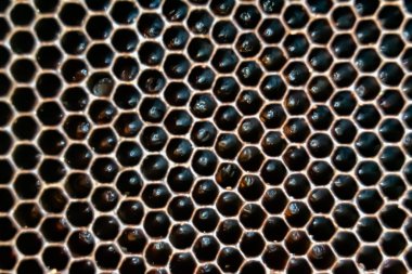 Arı kovanının soyut altıgen yapısı altın bal kovanından bal peteği, bal peteği yaz kompozisyonu arı köyünden vıcık vıcık bal, bal kırsalından kırsal arılara bal peteği