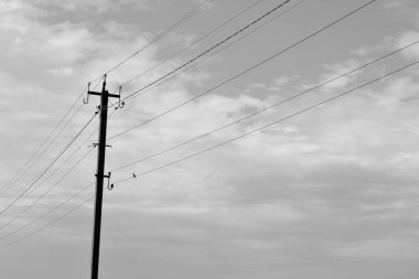 Renkli arka planda kablo olan elektrik direği yakın planda, elektrik direği ile gökyüzünün altında halat kablosu, konut binaları için elektrik direği hattı kablosu.