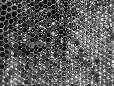 Altın nektarla dolu altıgen bal peteklerinden arı damlayan bal damlası, bal peteği yaz kompozisyonu doğal bal damlası, balmumu çerçeve arısına damlayan bal damlası, bal peteğine damlayan bal damlası