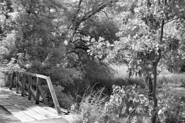 Renkli arka planda nehrin üzerinde güzel bir şekilde duran ahşap köprü. Nehrin yukarısındaki eski ahşap köprü. Doğal park için nehirde eski ahşap köprü.