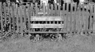 Doğal arka planda terk edilmiş bir evden güzel bir kapı, eski bir kapıdan köye fotoğraf, vahşi doğal renklerdeki yeşilliklerin olduğu eski bir köy evi.