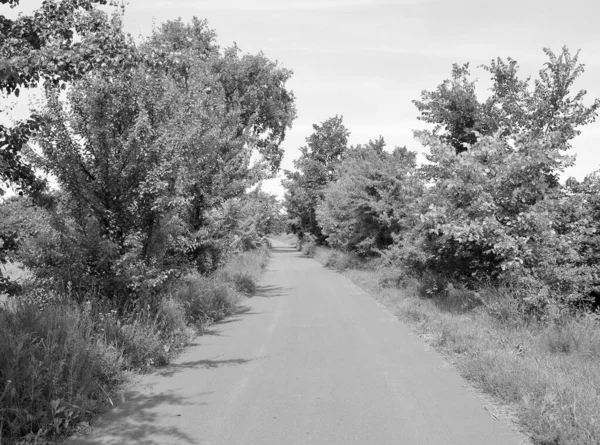 시골의 아름다운 아스팔트 속에서의 아스팔트 시골을 가로지르는 새로운 아스팔트 도로로 — 스톡 사진