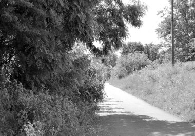 Renkli arka planda güzel boş asfalt yol, kırsal alandan geçen yeni boş asfalt yol, yeşillik kırsalında hız arabası için boş asfalt yol.