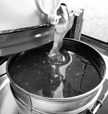 Sıvı nektarla dolu altıgen bal peteklerinden arı damlayan bal damlası, bal petekleri doğal bal damlatan yaz kompozisyonu, balmumu çerçeveli arı damlası, bal peteğine damlayan bal damlası