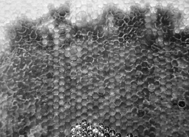 Altın nektarla dolu altıgen bal peteklerinden arı damlayan bal damlası, bal peteği yaz kompozisyonu doğal bal damlası, balmumu çerçeve arısına damlayan bal damlası, bal peteğine damlayan bal damlası