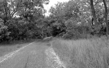 Renkli arka planda nehrin üzerinde güzel bir şekilde duran ahşap köprü. Nehrin yukarısındaki eski ahşap köprü. Doğal park için nehirde eski ahşap köprü.