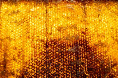 Altın nektarla dolu altıgen bal peteklerinden arı damlayan bal damlası, bal peteği yaz kompozisyonu doğal bal damlası, balmumu çerçeve arısına damlayan bal damlası, bal peteğine damlayan bal damlası