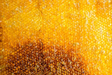 Altın nektarla dolu altıgen bal peteklerinden arı damlayan bal damlası, bal peteği yaz kompozisyonu doğal bal damlası, balmumu çerçeve arısına damlayan bal damlası, bal peteğine damlayan bal damlası