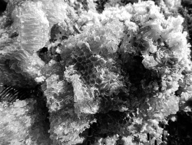 Altın nektarla dolu altıgen bal peteklerinden arı damlayan bal damlası, bal peteği yaz kompozisyonu doğal bal damlası, balmumu çerçeve arısına damlayan bal damlası, bal peteğine damlayan bal damlası