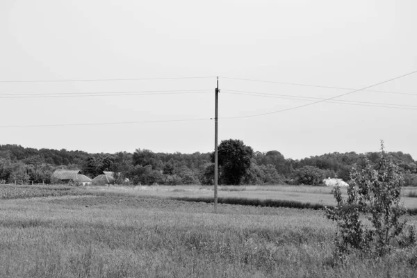 Beau Paysage Horizon Dans Prairie Village Sur Fond Naturel Couleur — Photo