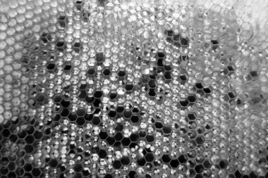 Altın nektarla dolu altıgen bal peteklerinden arı damlayan bal damlası, bal peteği yaz kompozisyonu doğal bal damlası, balmumu çerçeve arısına damlayan bal damlası, bal peteğine damlayan bal damlası