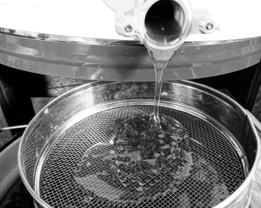 Sıvı nektarla dolu altıgen bal peteklerinden arı damlayan bal damlası, bal petekleri doğal bal damlatan yaz kompozisyonu, balmumu çerçeveli arı damlası, bal peteğine damlayan bal damlası